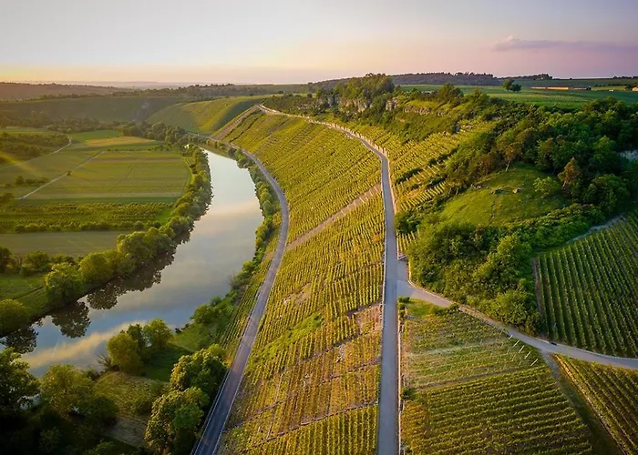 Exnicrum Wein . Genuss . *